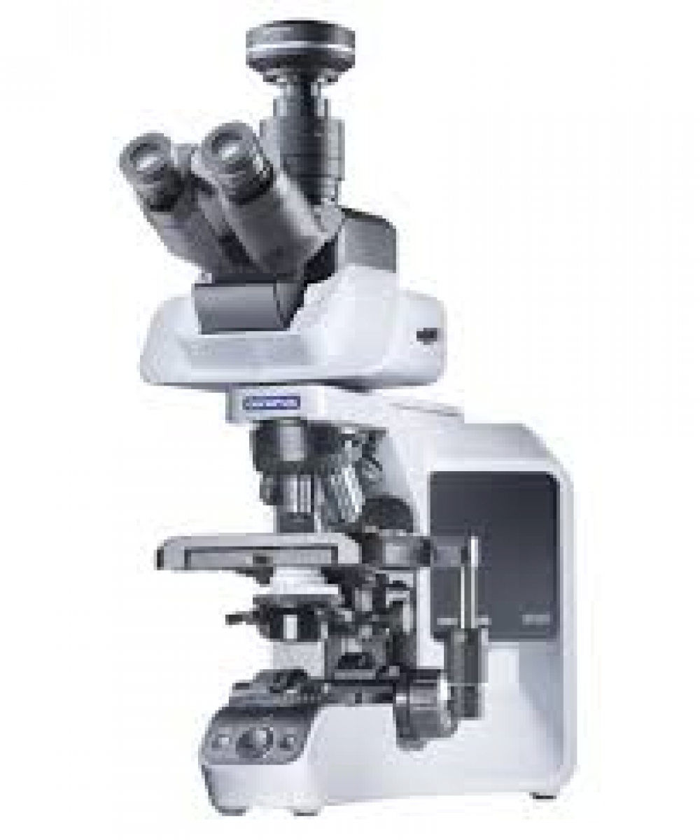 Microscope OLYMPUS BX43 -3
