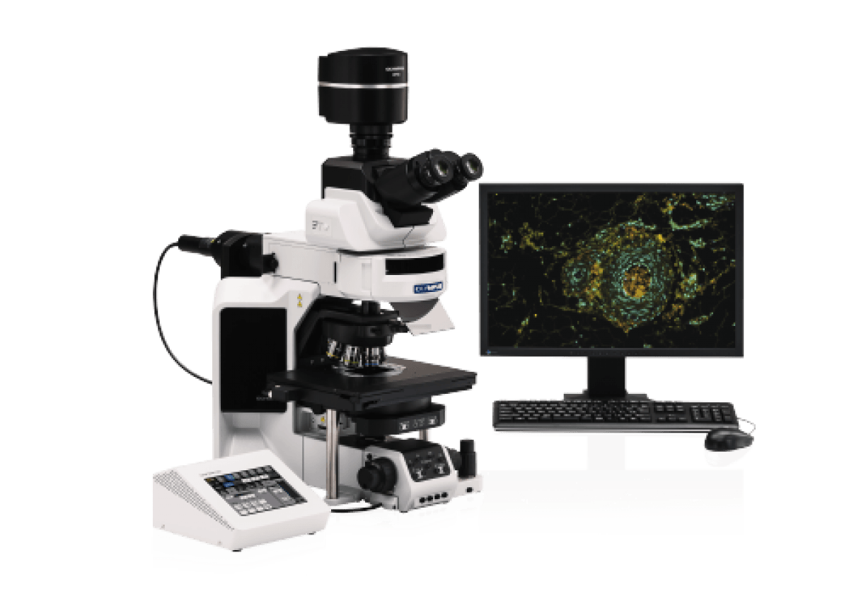 Microscope OLYMPUS BX63 -2