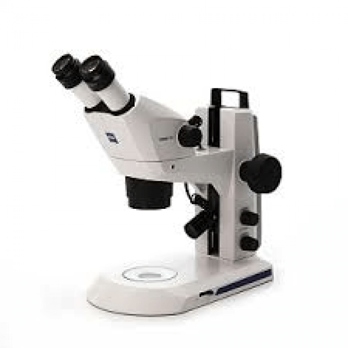 Stéréomicroscope Stemi 305
