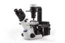 Microscope OLYMPUS CKX53