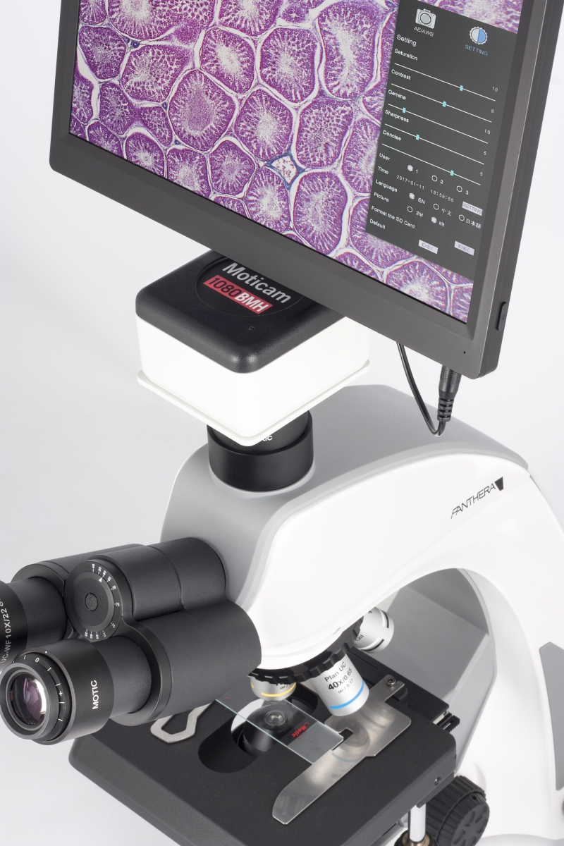 Microscope Panthera E2 LED binoculaire