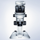 Stéréomicroscope OLYMPUS SZ61