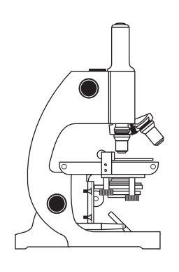 Platine pour microscope droit