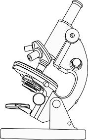 Microscopes Droits