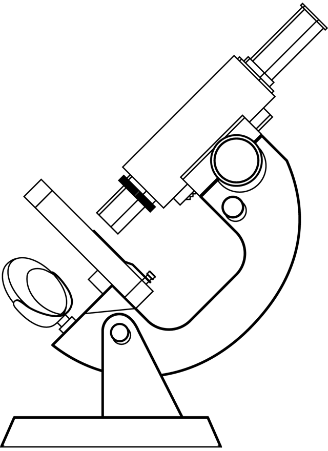 Platine pour microscope droit