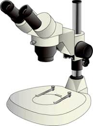Stéréomicroscopes