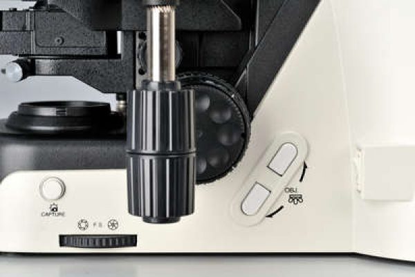Microscope droit série Eclipse Ci - Nikon – Image 5