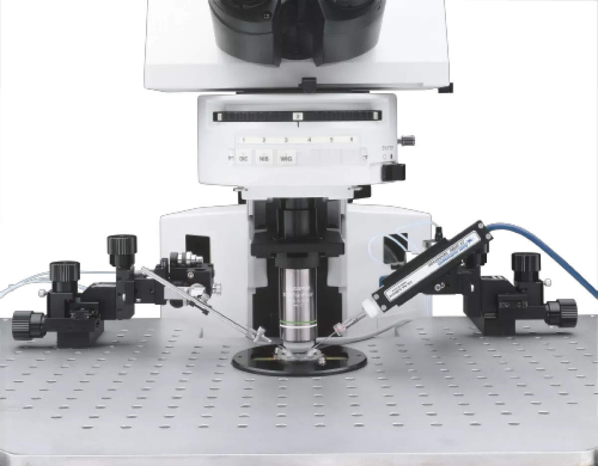Microscopes & Stéréomicroscopes