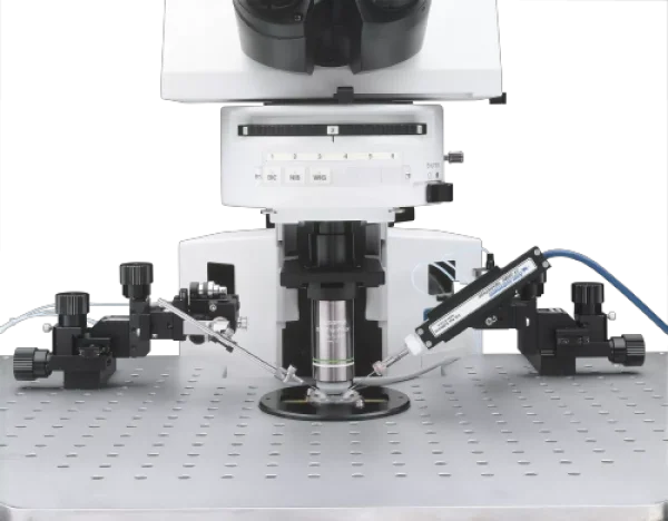 Microscope BX51WIF Evident-Olympus