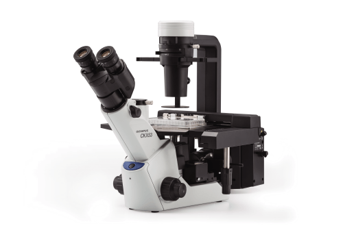 Microscope inversé CKX53 - Evident-Olympus