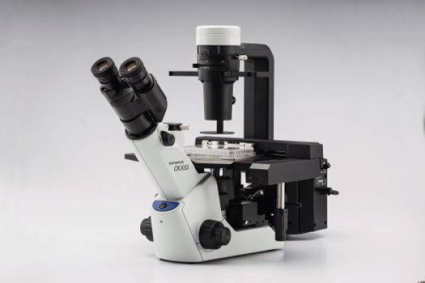 Microscope inversé CKX53 - Evident-Olympus