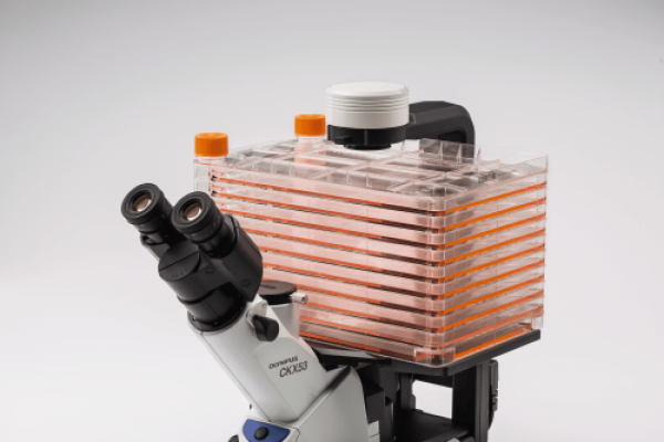 Microscope inversé CKX53 - Evident-Olympus