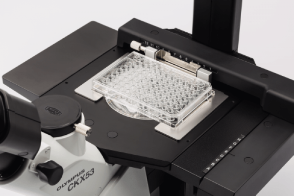 Microscope inversé CKX53 - Evident-Olympus