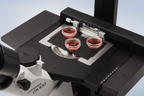 Microscope inversé CKX53 - Evident-Olympus