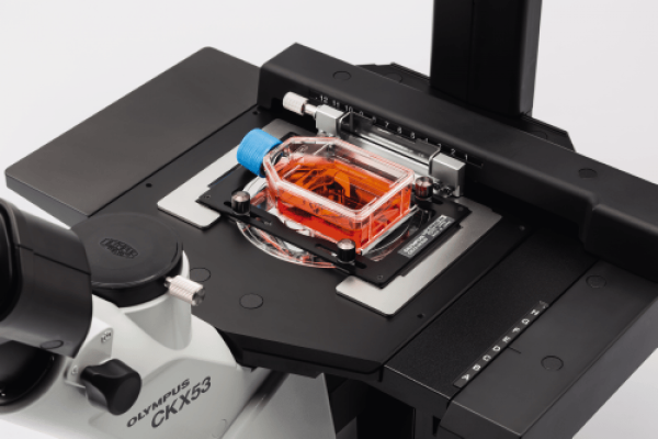 Microscope inversé CKX53 - Evident-Olympus