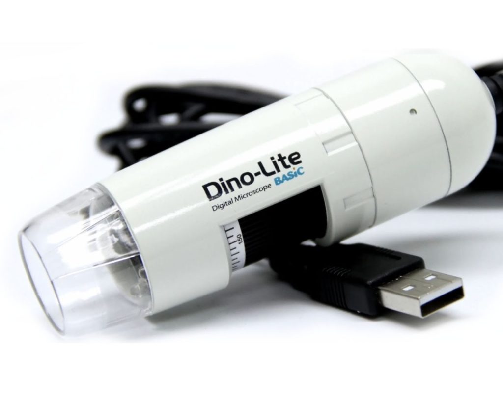 Dino-Lite Basique