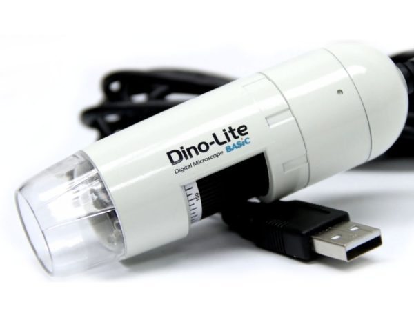 Dino-Lite Basique