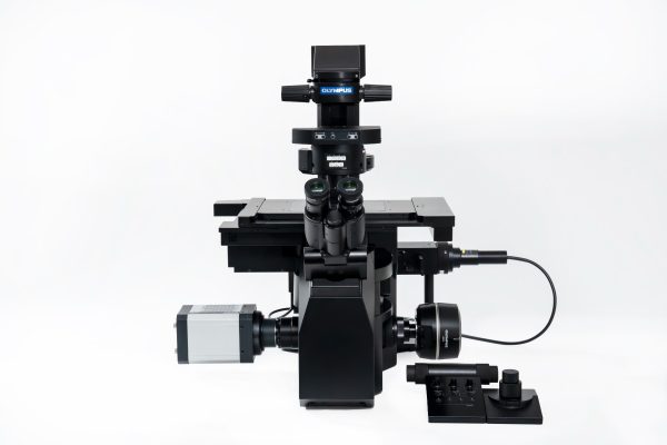 Microscope inversé IX85 - Evident-Olympus