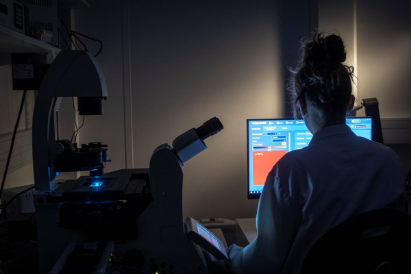 INSCOPER I.S. Inscoper Solution 3D Imaging