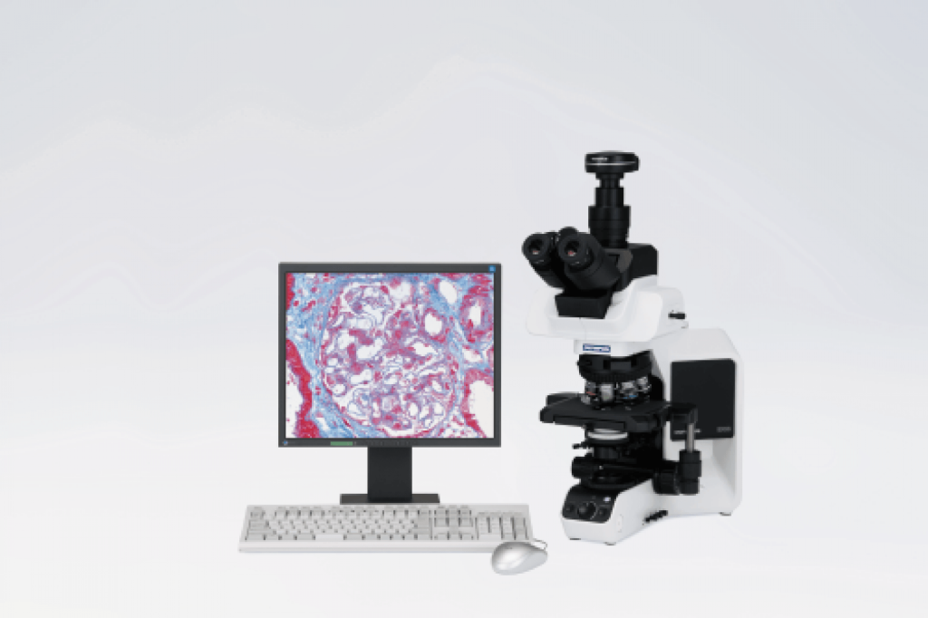 Microscope droit BX53 - Evident-Olympus