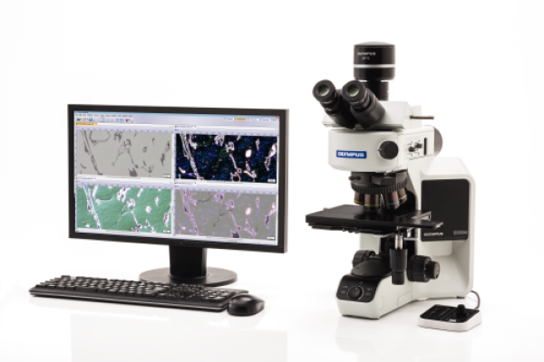 Microscope droit BX53 - Evident-Olympus
