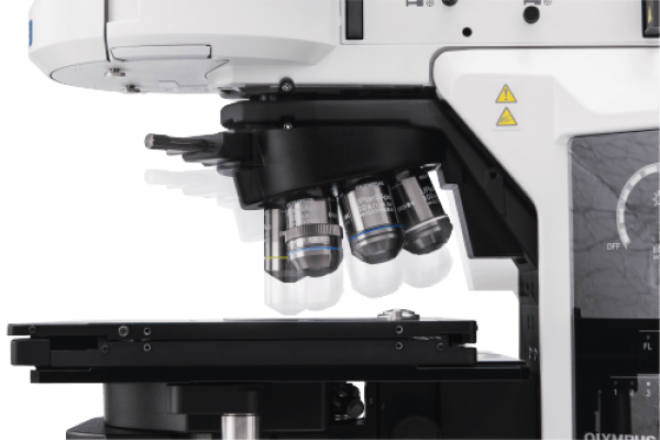 Microscope droit BX53 - Evident-Olympus