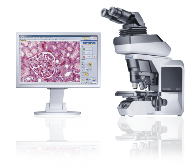 Microscope droit BX46 - Evident-Olympus
