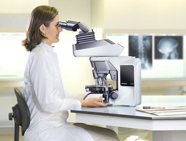 Microscope droit BX46 - Evident-Olympus