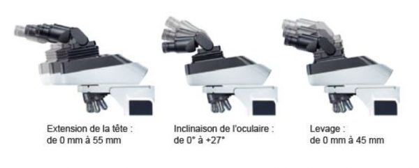 Microscope droit BX46 - Evident-Olympus