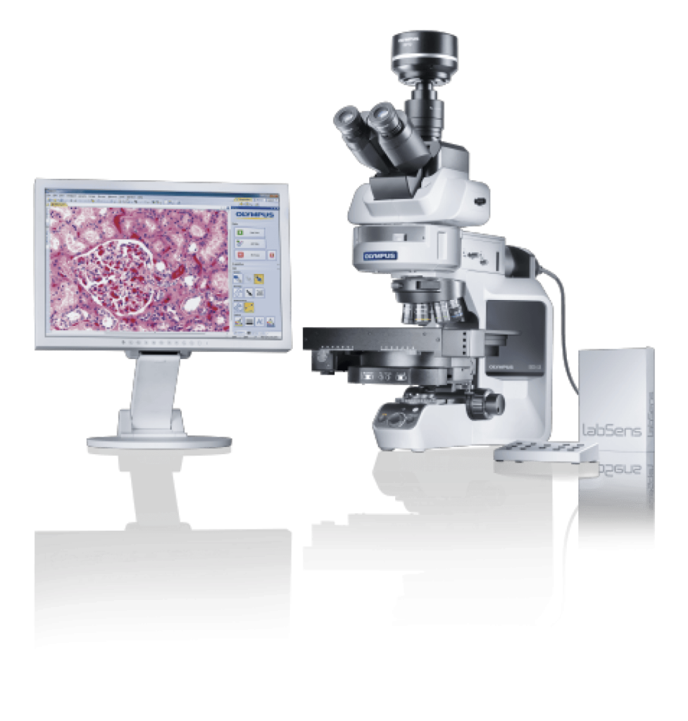 Microscope droit BX43 - Evident-Olympus