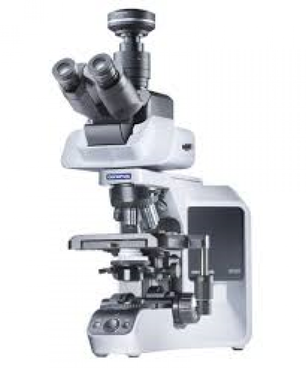 Microscope droit BX43 - Evident-Olympus