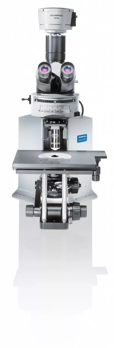 Microscope BX51WIF Evident-Olympus