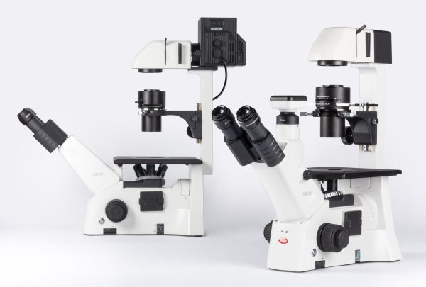 Microscope inversé Motic Série AE31