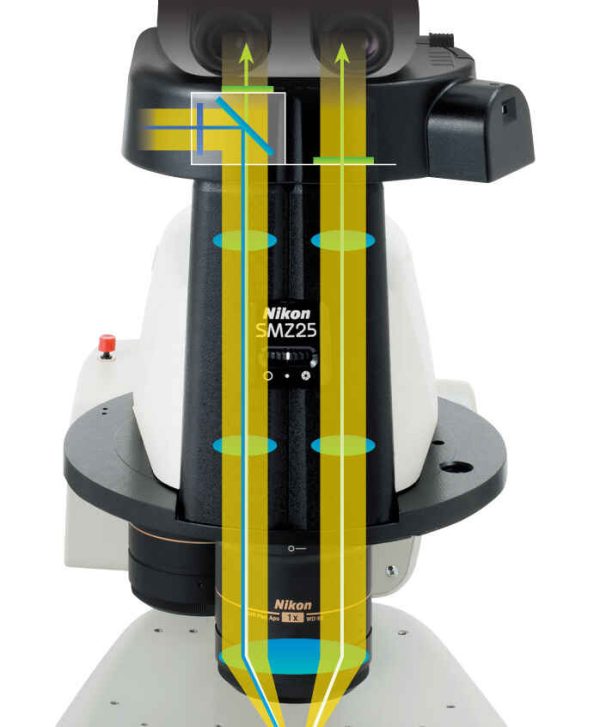 Stéréomicroscope SMZ25 - Nikon