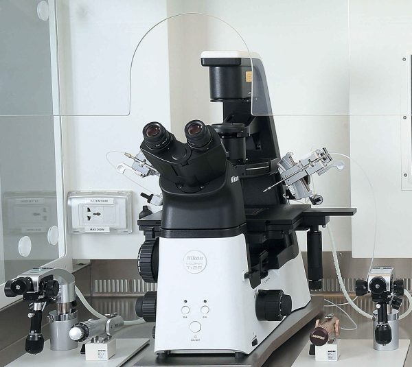 Microscope inversé Nikon Ts2R