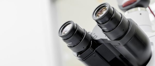 Microscope inversé Nikon Ti2