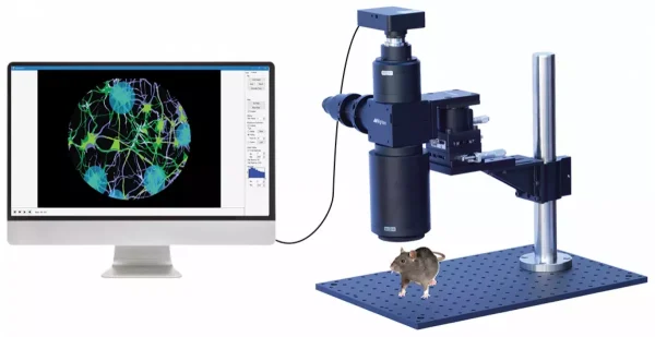Oasis Macro MIGHTEX (cortex-wide optogenetics & imaging)