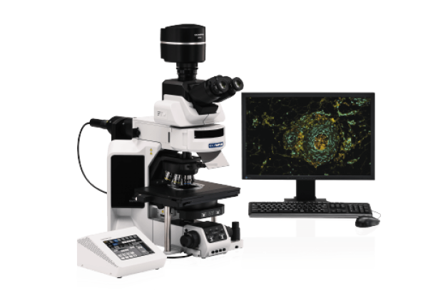 Microscope droit BX63 - Evident-Olympus