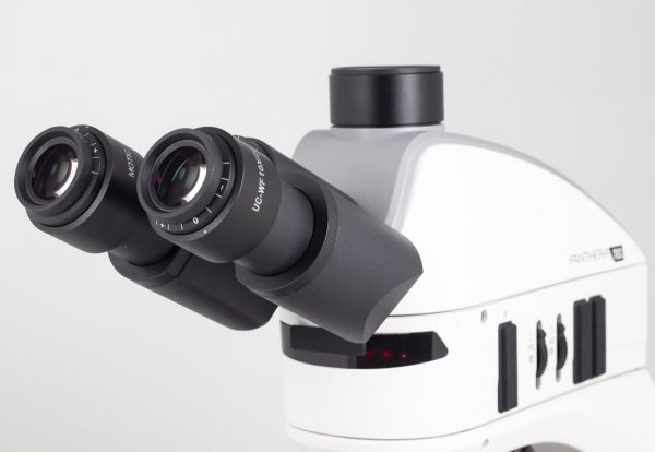 Microscope droit polarisant Motic panthera Tec Mat BF