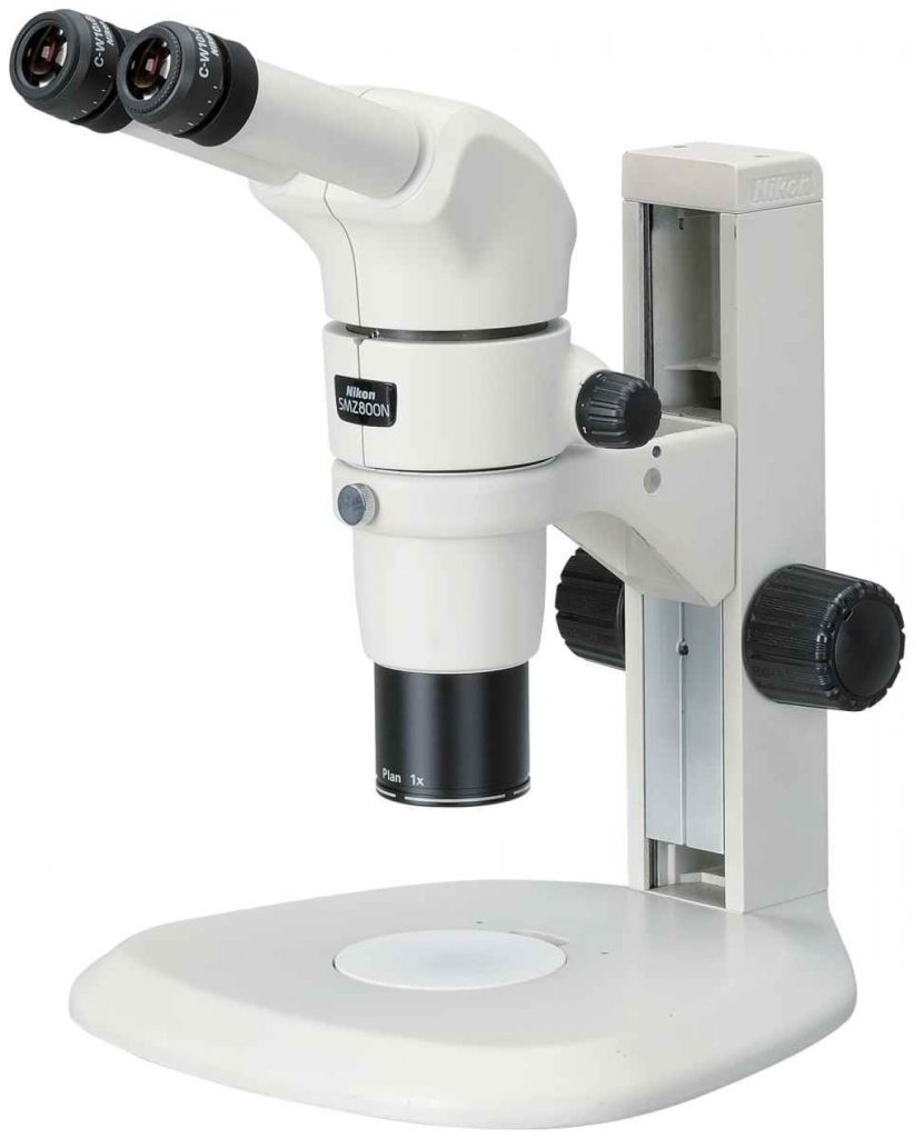 Stéréomicroscope SMZ800N - Nikon
