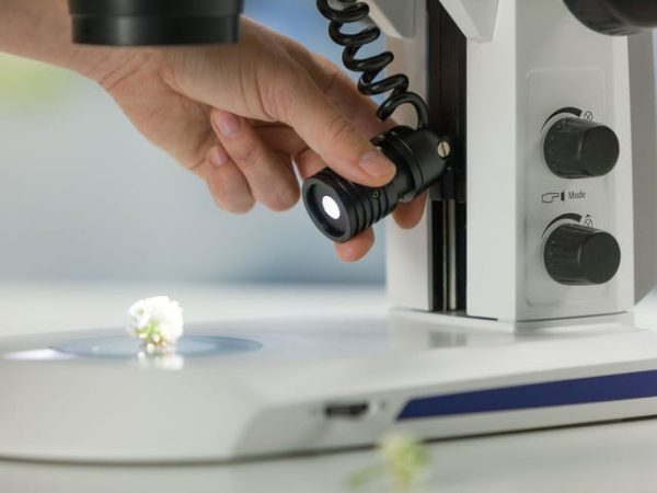 Stéréomicroscope Stemi 305 - Zeiss