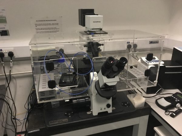 Système d'incubation pour microscope OLYMPUS