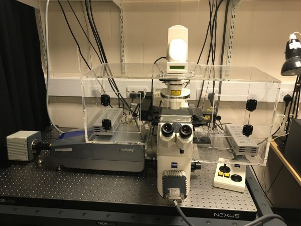 Système d'incubation pour microscope ZEISS