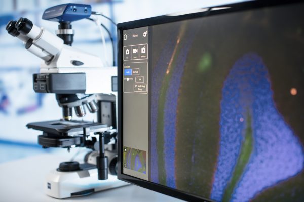 Microscope droit Axioscope 5 - Zeiss