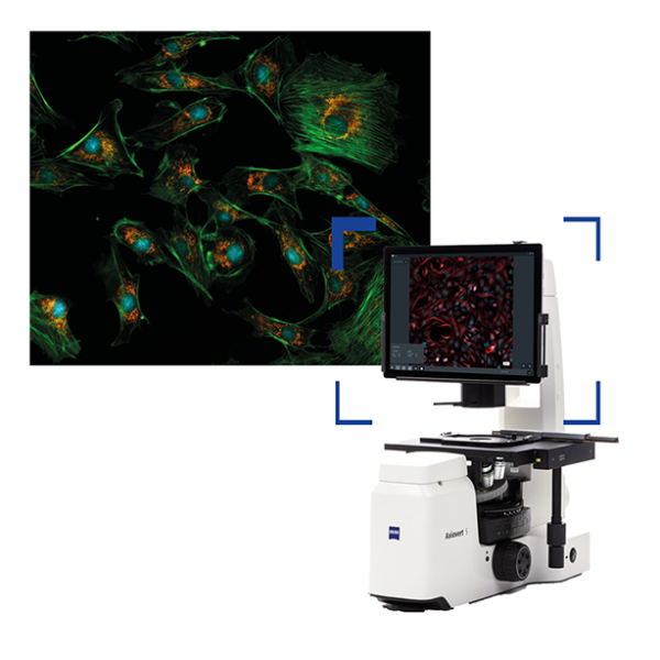 Microscope numérique Axiovert 5 Digital - Zeiss